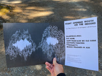 GIANT OPENING MOUTH ON THE GROUND (LP) by Phil Elverum & Arrington de Dionyso