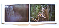 Dust by Phil Elverum (book)